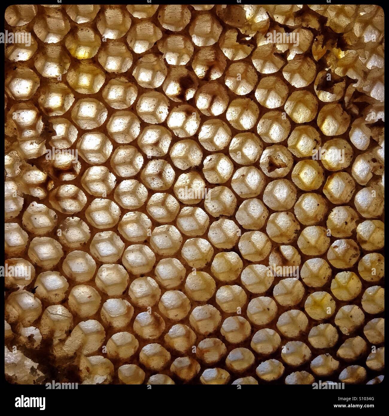Honeycomb from a beehive, Spain. - Smartphone Captured Stock Image