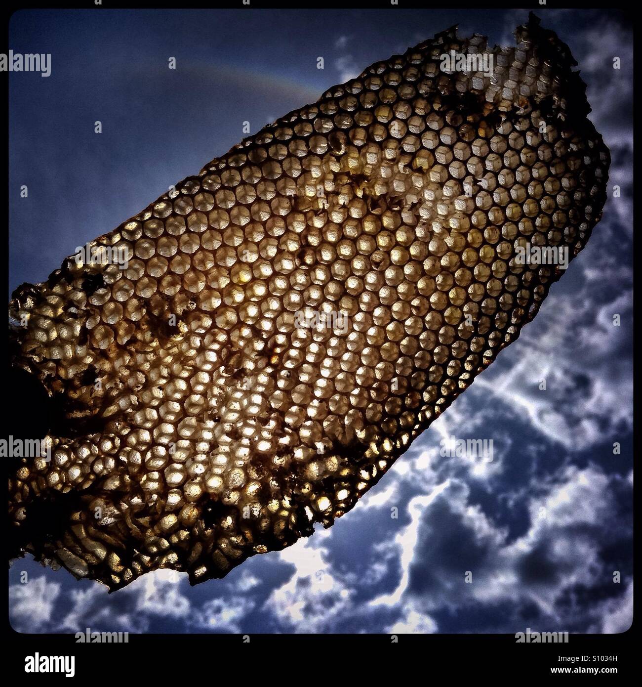 Honeycomb from a beehive, Spain. - Smartphone Captured Stock Image