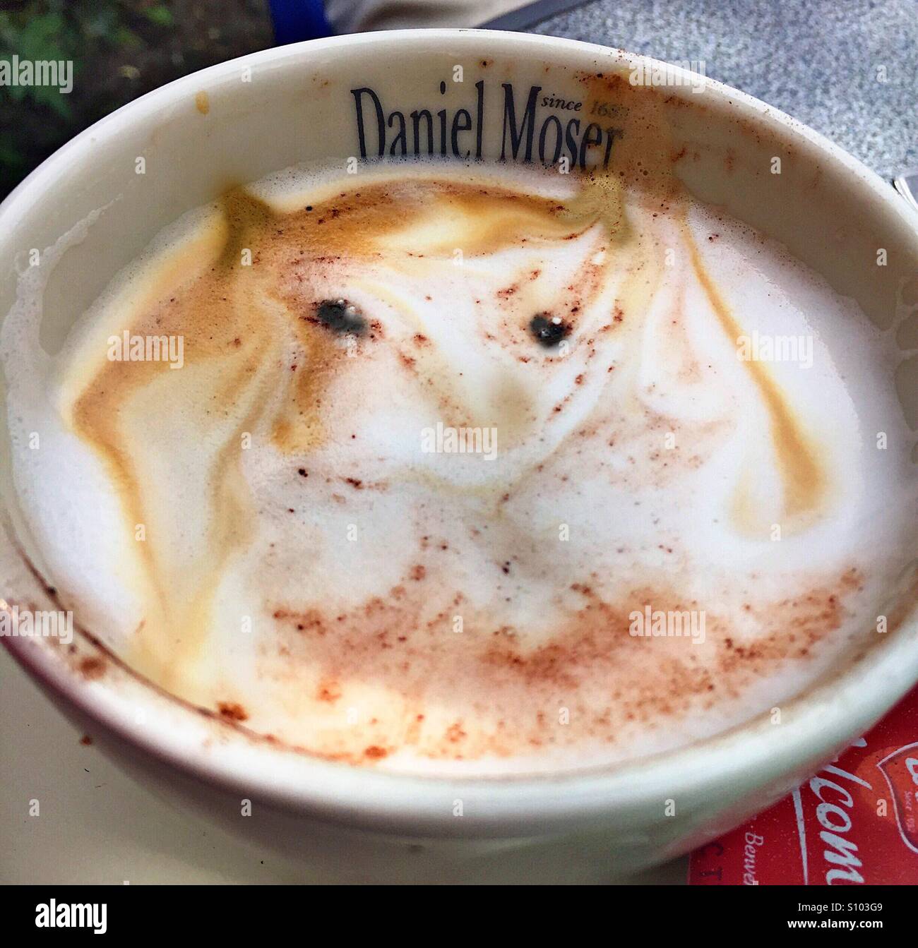 ...the hidden cat face in the coffee... Stock Photo