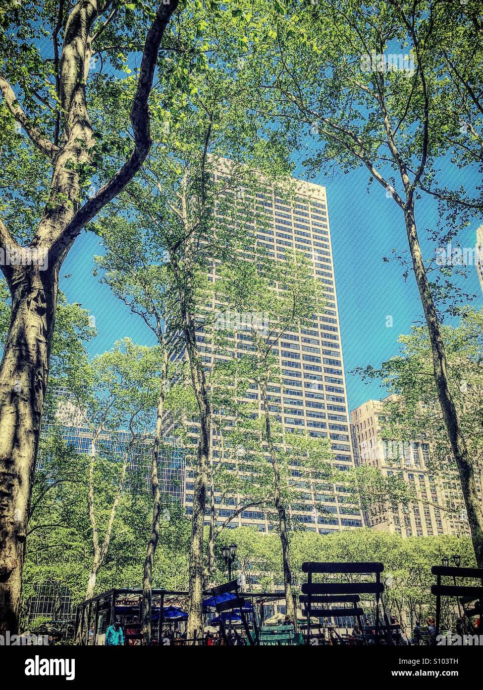 Bryant Park forwards a view of the Grace building on 42nd St. through the trees, NYC - Smartphone Captured Stock Image