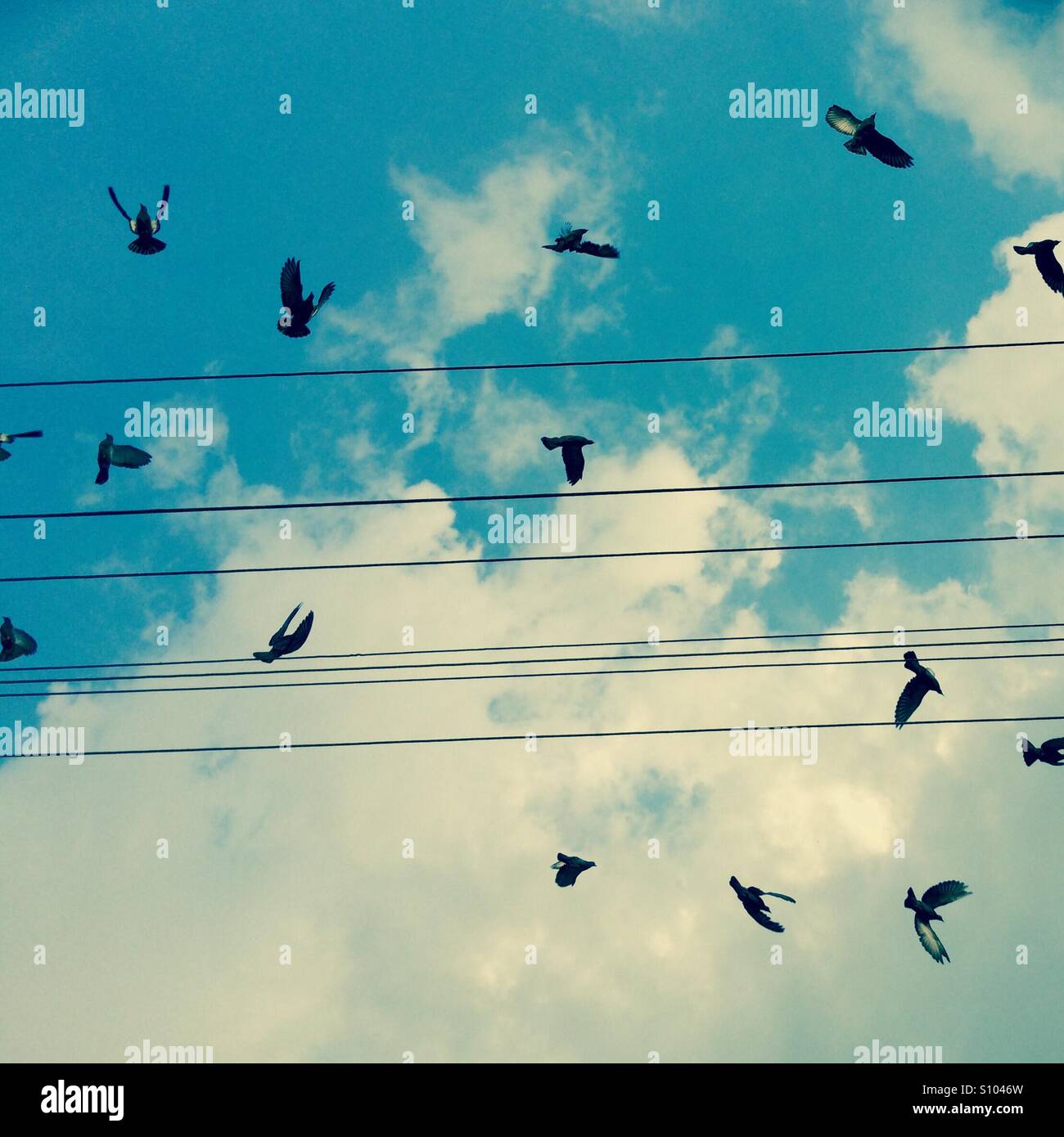 Flying lines hi-res stock photography and images - Alamy