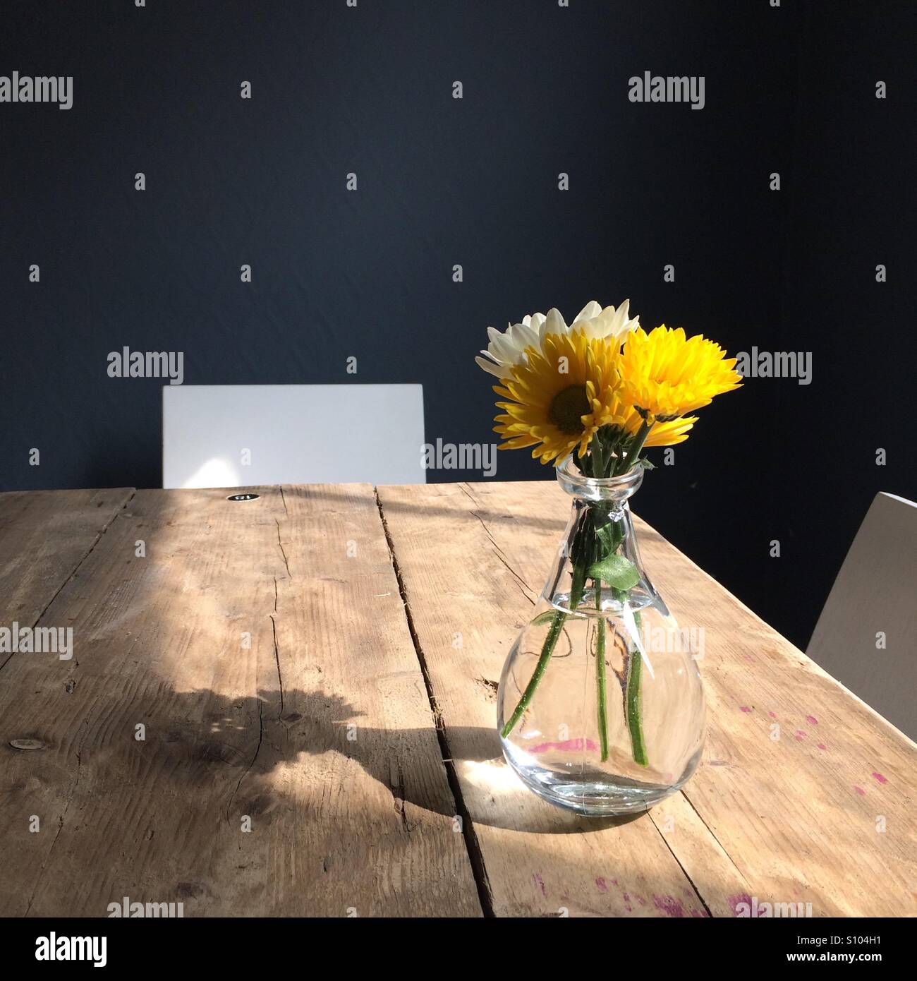 Yellow flowers in a small vase lit by window light on a wooden table ...