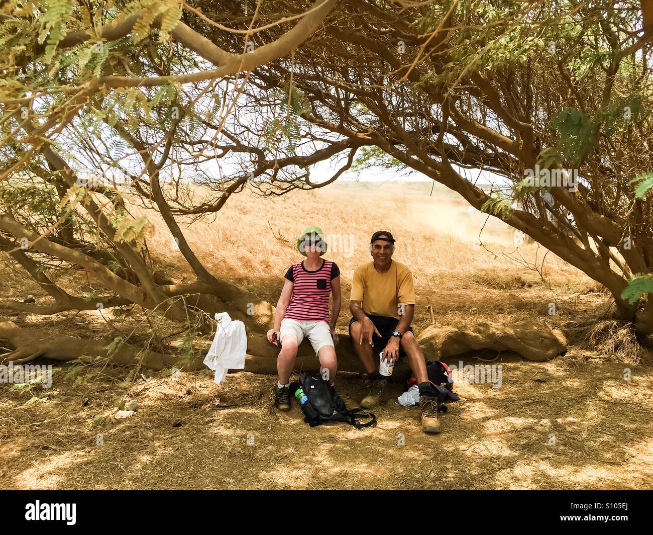 At ease  in South Point, Hawaii. A man and a woman resting on a horizontal tree trunk on the ground. A refreshing pause. A break. Summer’s day. Stock Photo