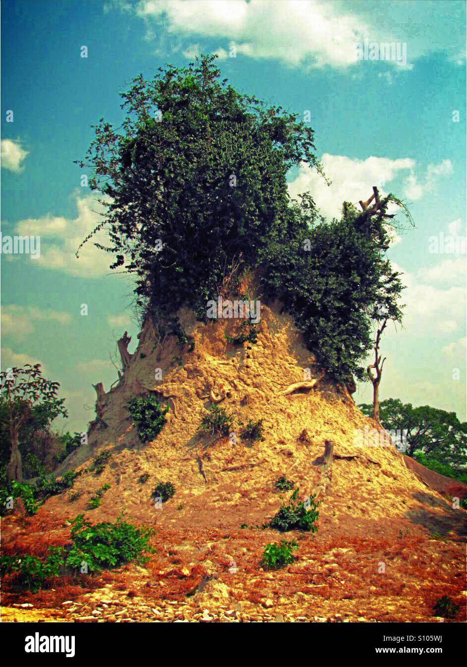 Termite mound in northern Zambia Stock Photo