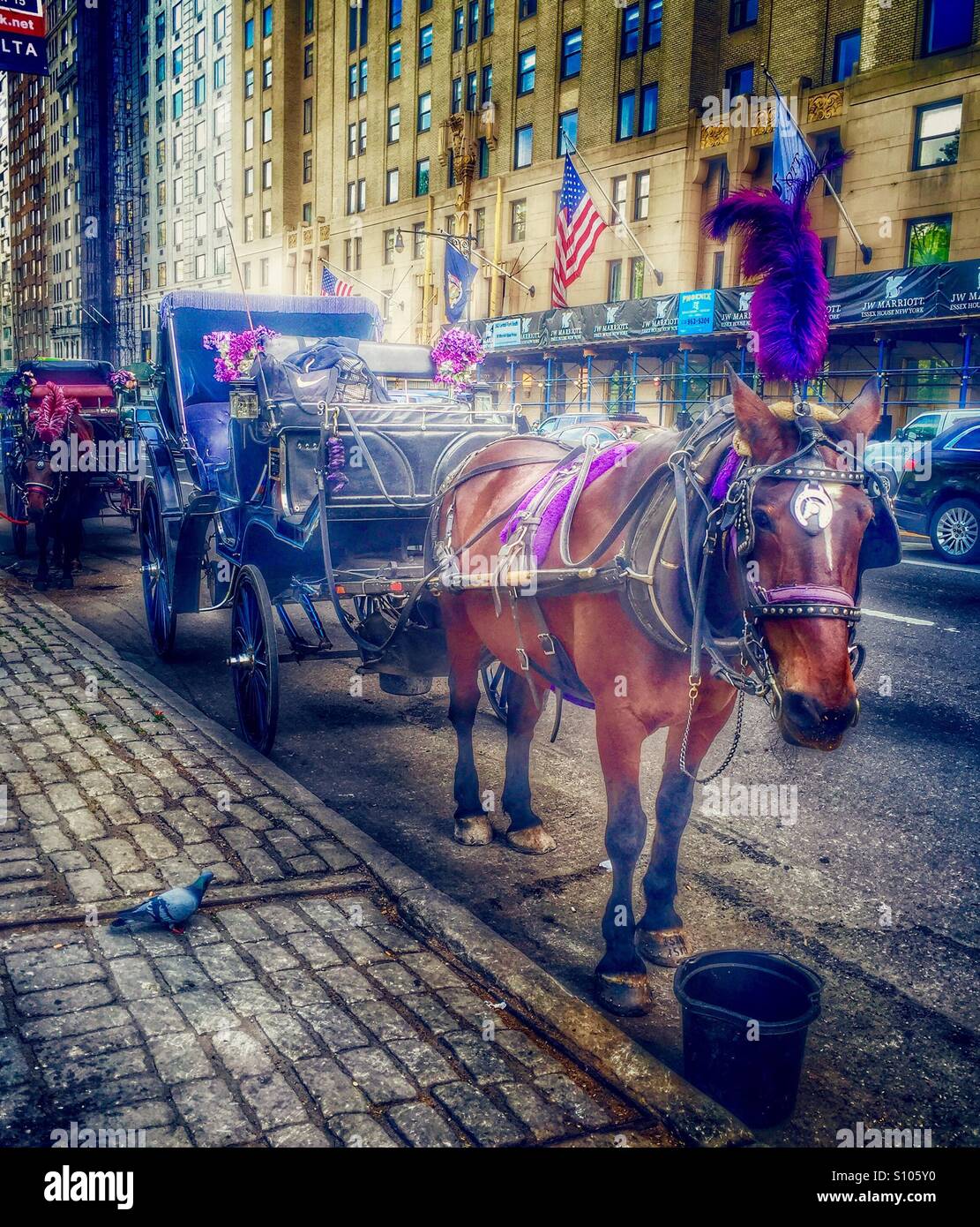 New york city carriage ride hi-res stock photography and images - Alamy