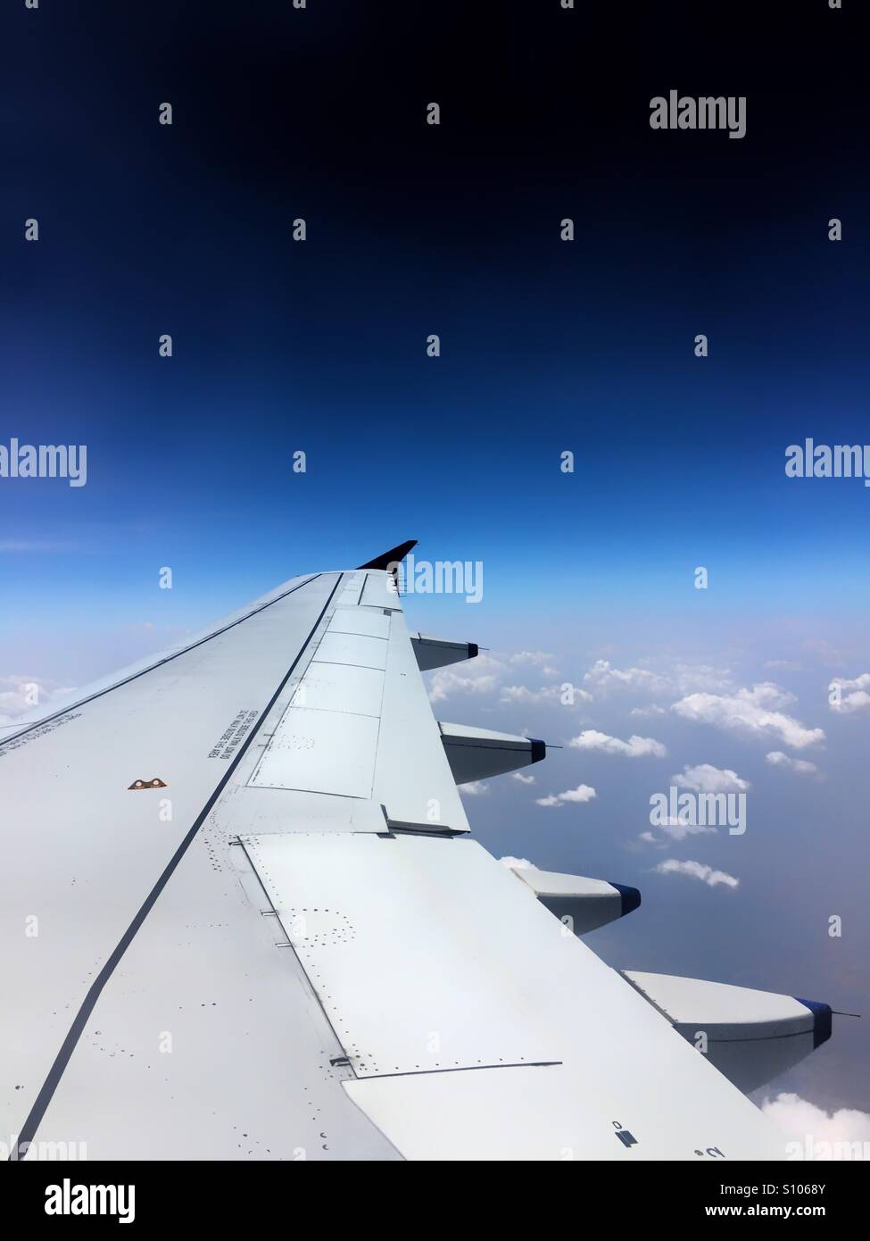 Fly in the air Stock Photo Alamy