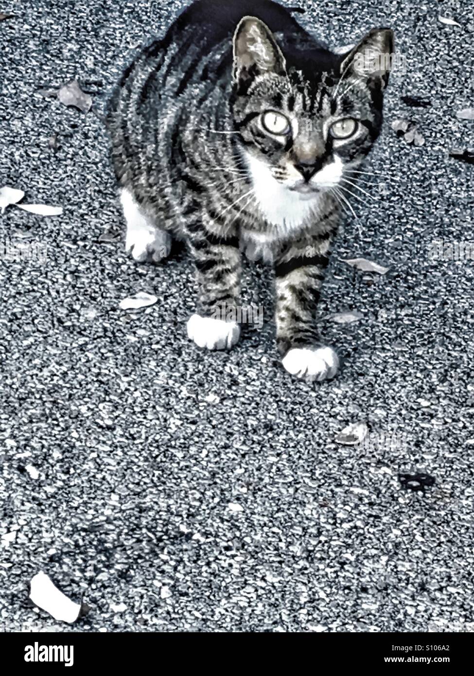 So what do you want? - Smartphone Captured Stock Image