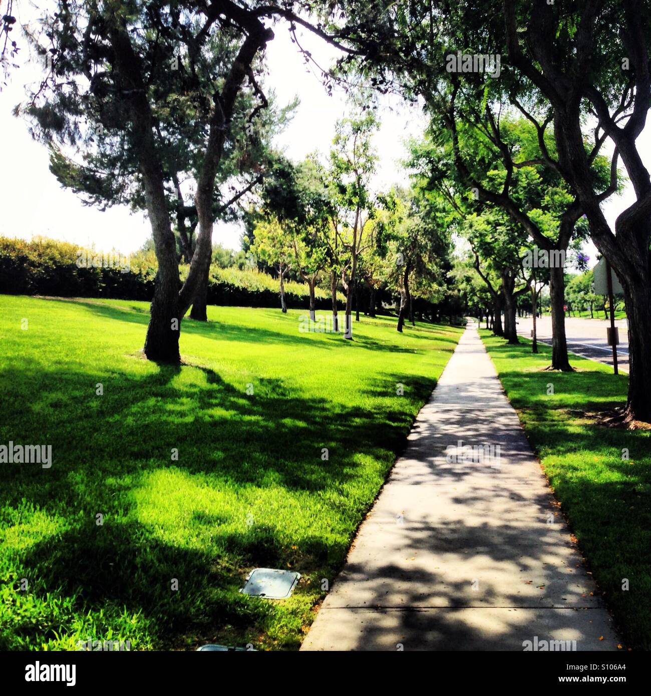 Sidewalk and nature hi-res stock photography and images - Alamy