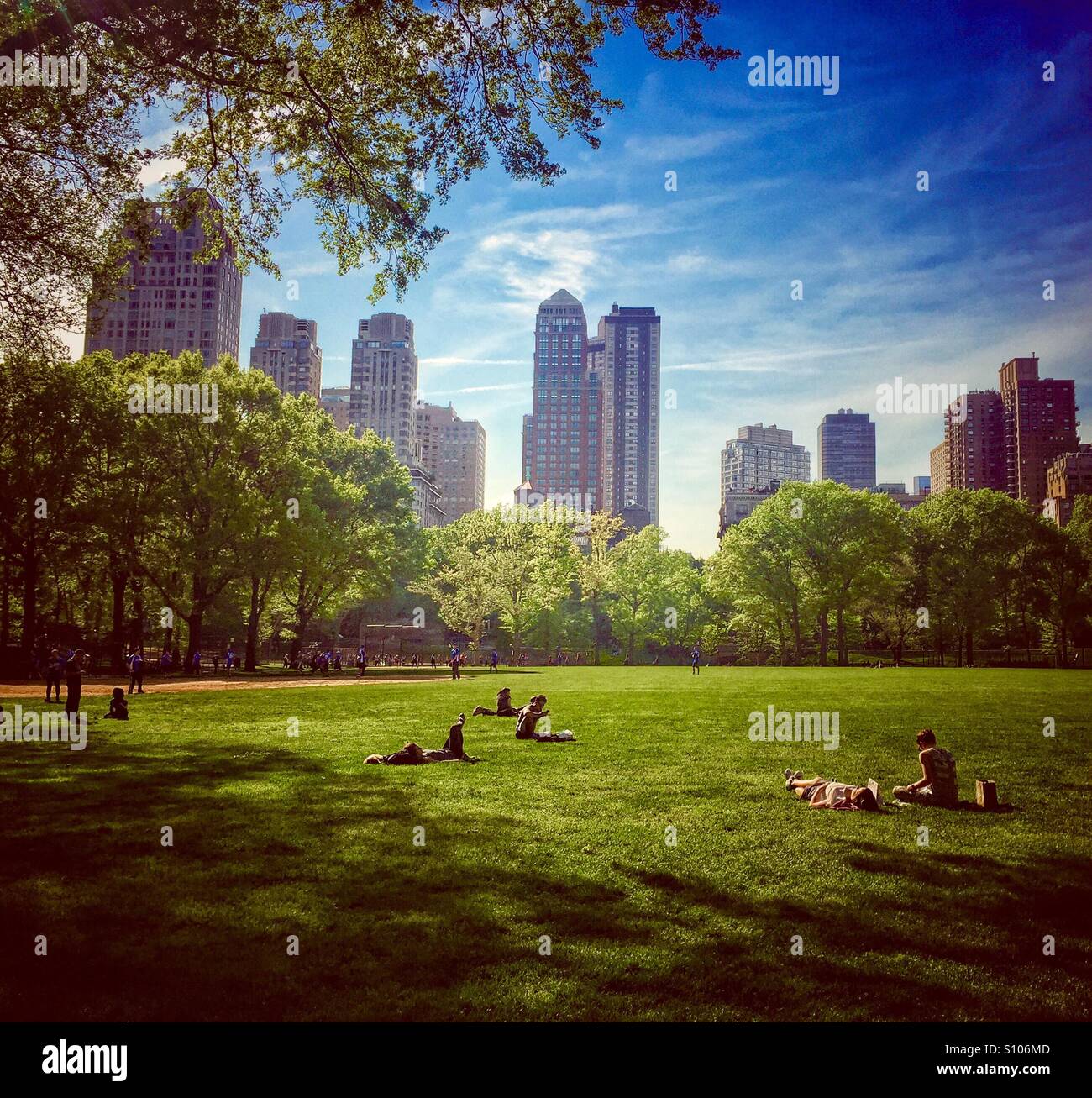 Picnic in Central Park, New York Stock Photo Alamy