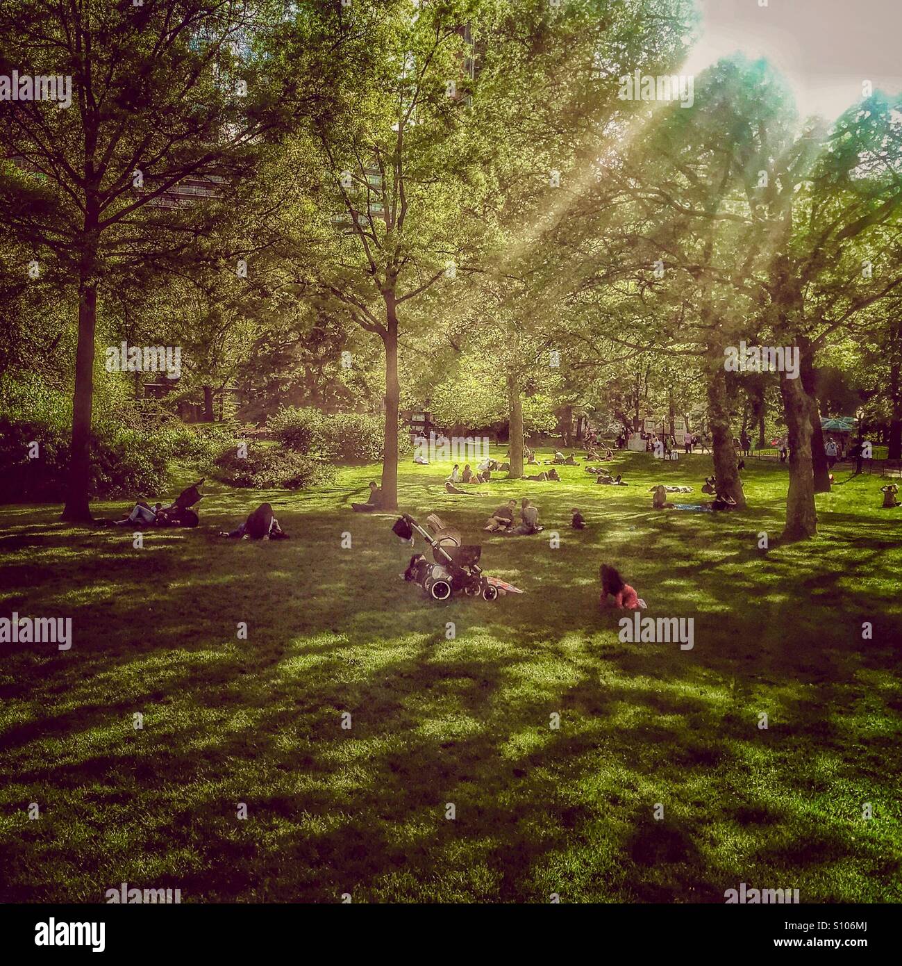 Sunbathed Central Park Stock Photo