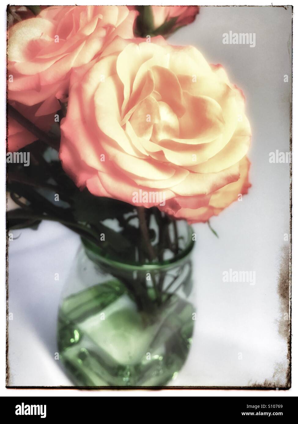 Romantic rose hi-res stock photography and images - Alamy