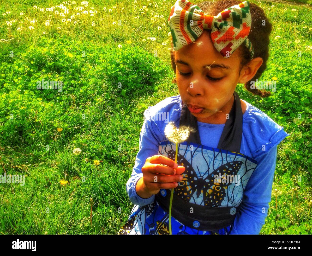 Girl blowing dandelion seeds Stock Photo