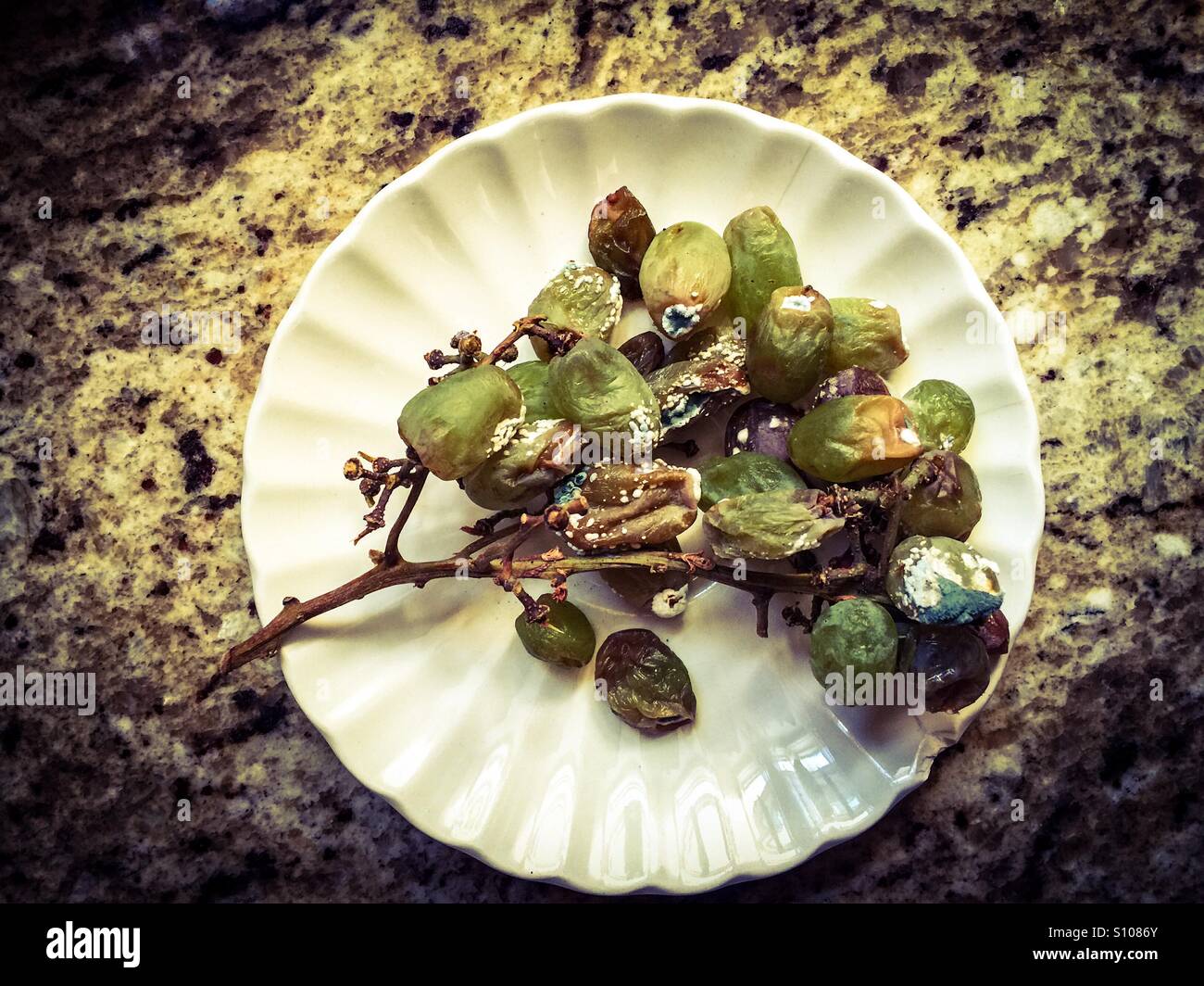Moldy grapes - Smartphone Captured Stock Image