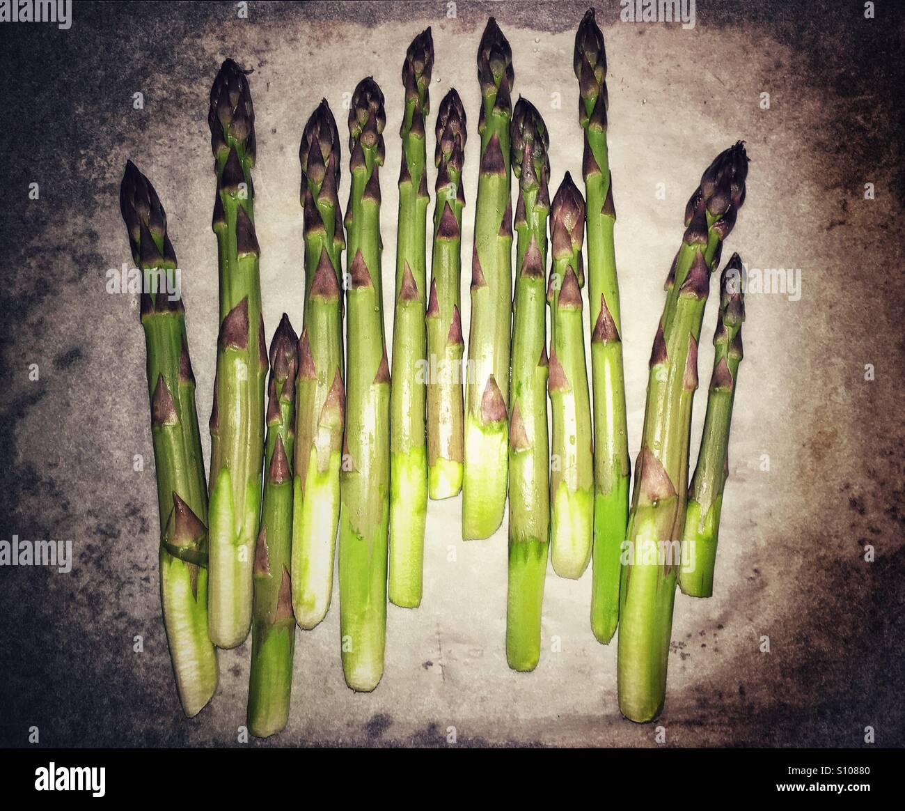 Asparagus on parchment paper Stock Photo