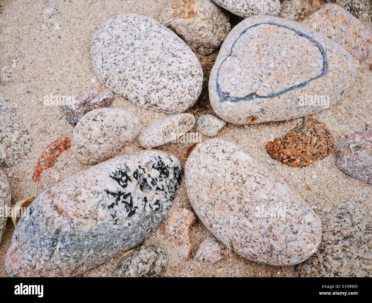 Natural art - Smartphone Captured Stock Image