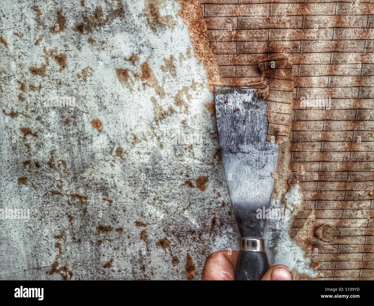 Renovating walls at home - Smartphone Captured Stock Image