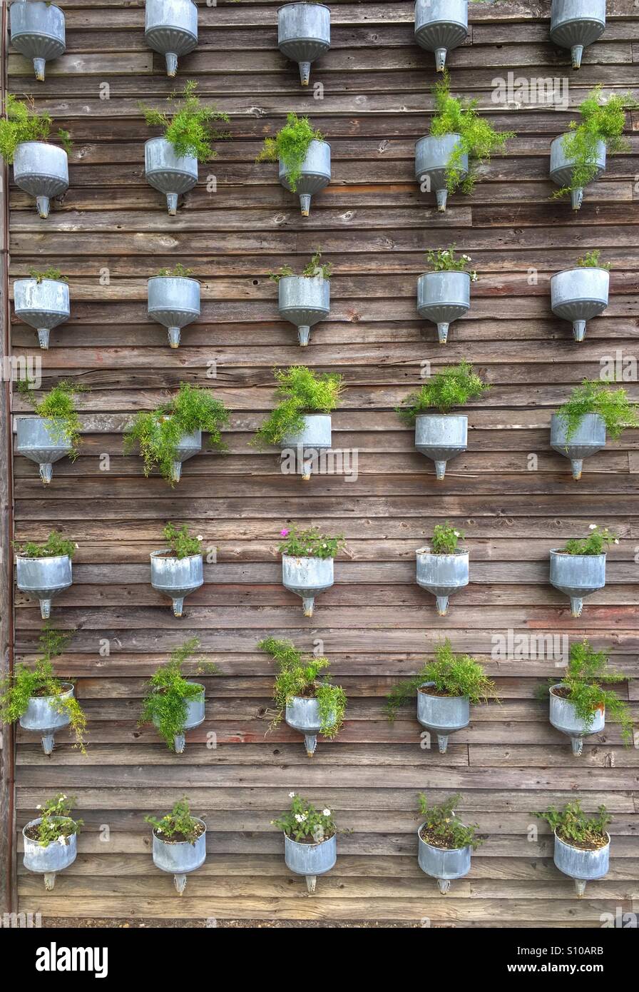 Planters on a wall Stock Photo