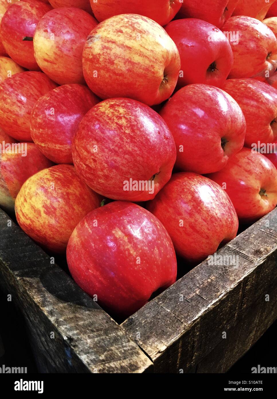 Bagged Apples On Store Shelf Stock Photo 6511699