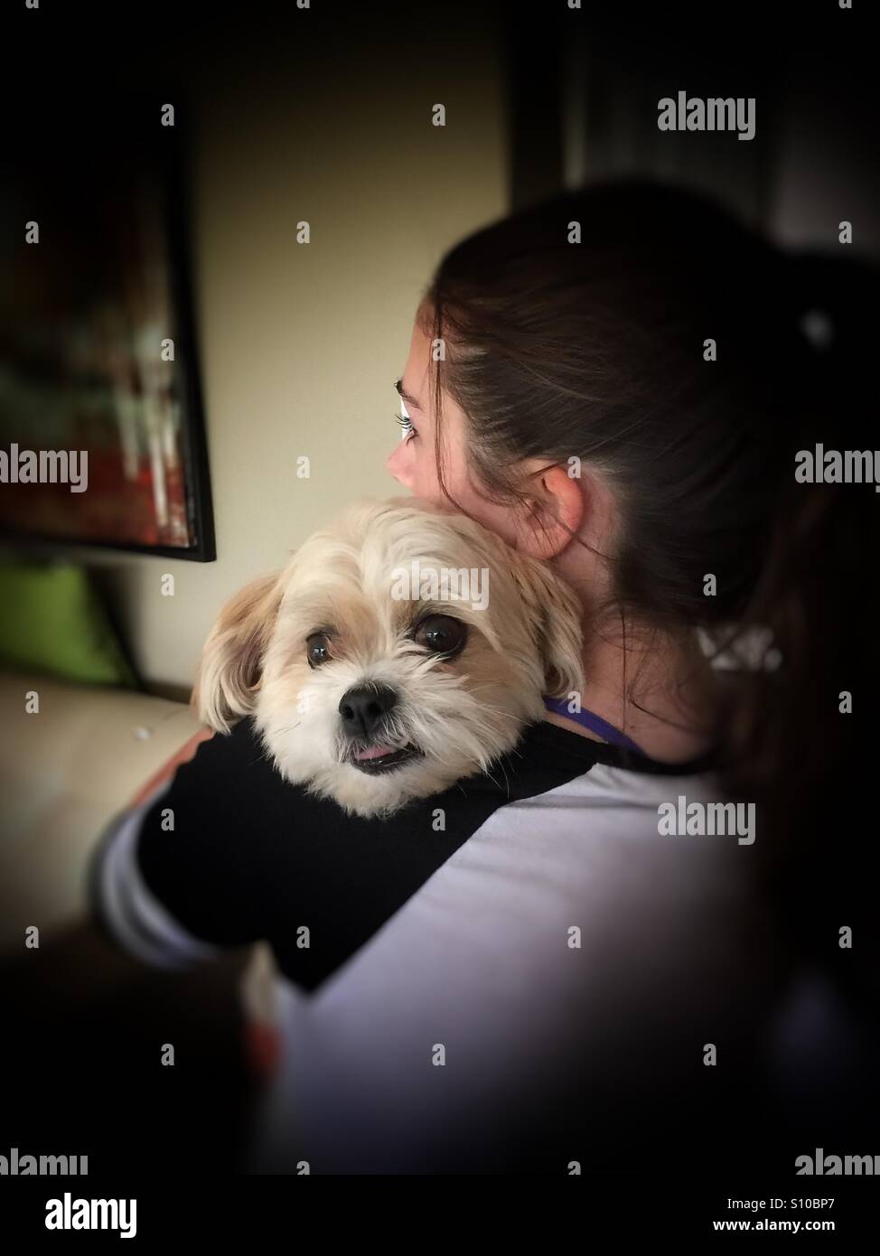 A girl's best friend - Smartphone Captured Stock Image