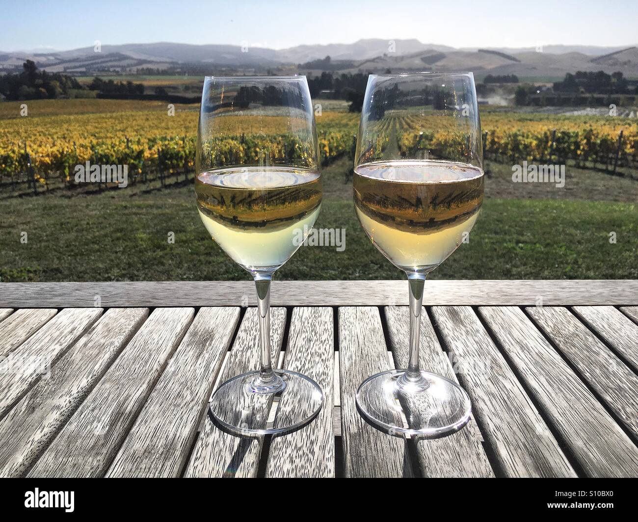 Enjoying a glass of wine at a New Zealand winery Stock Photo