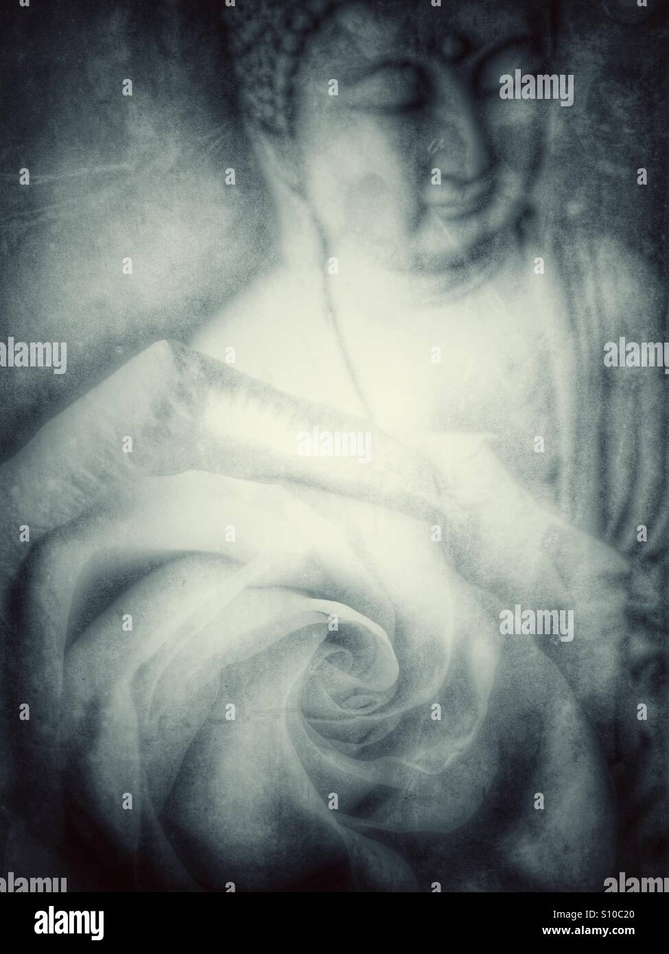 Rose Buddha - Smartphone Captured Stock Image