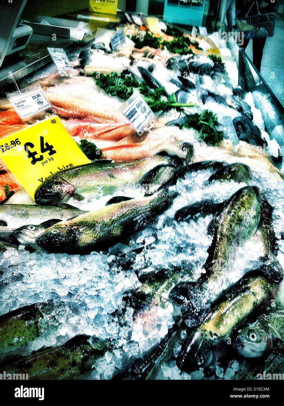 Supermarket fish display hi-res stock photography and images - Alamy