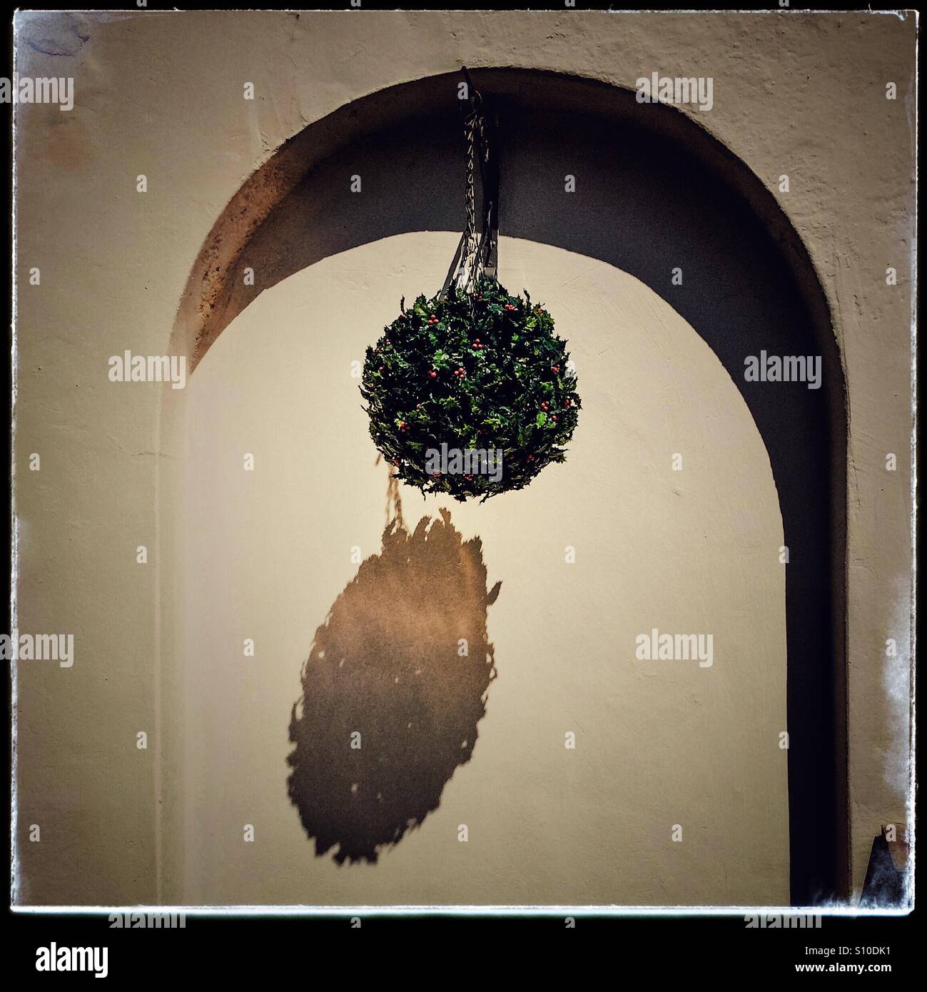 Hanging bush and shadow - Smartphone Captured Stock Image