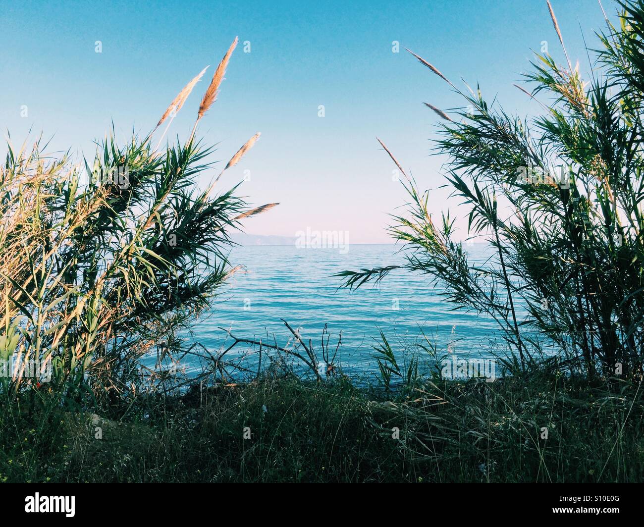 Looking through bamboo to the Ionian Sea and Zakynthos, from Kefalonia, Greece. Stock Photo