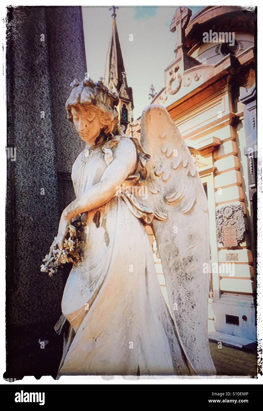 Concrete Angel in a cemetery Stock Photo Alamy