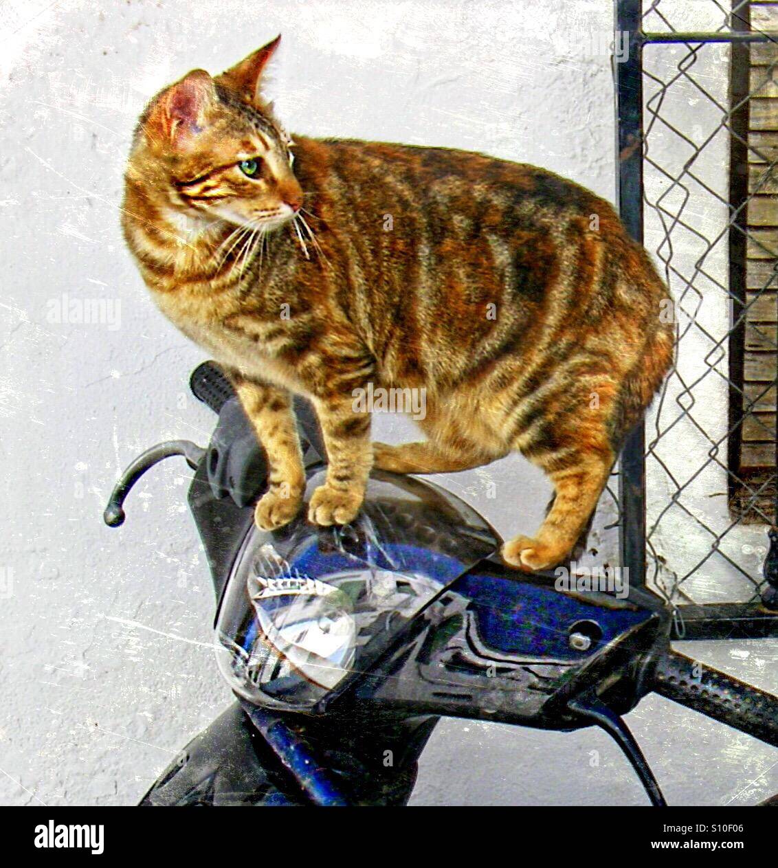 Hurry up hi-res stock photography and images - Alamy Hurry up hi-res stock photography and images - Alamy
