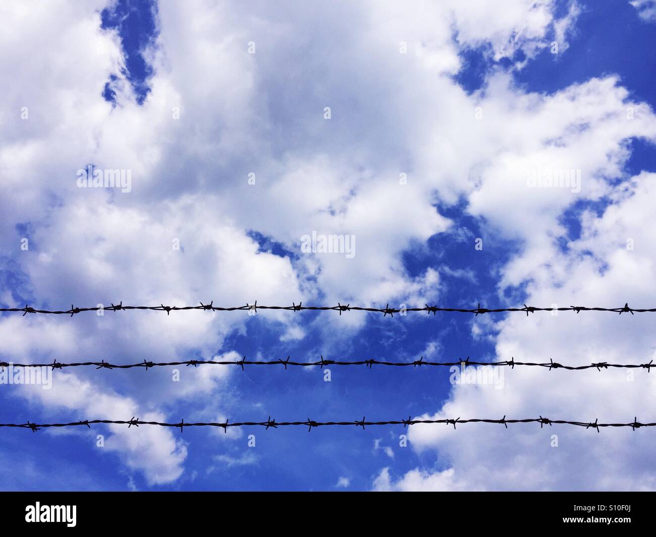 Barbed wire on cloudy sky background - Smartphone Captured Stock Image