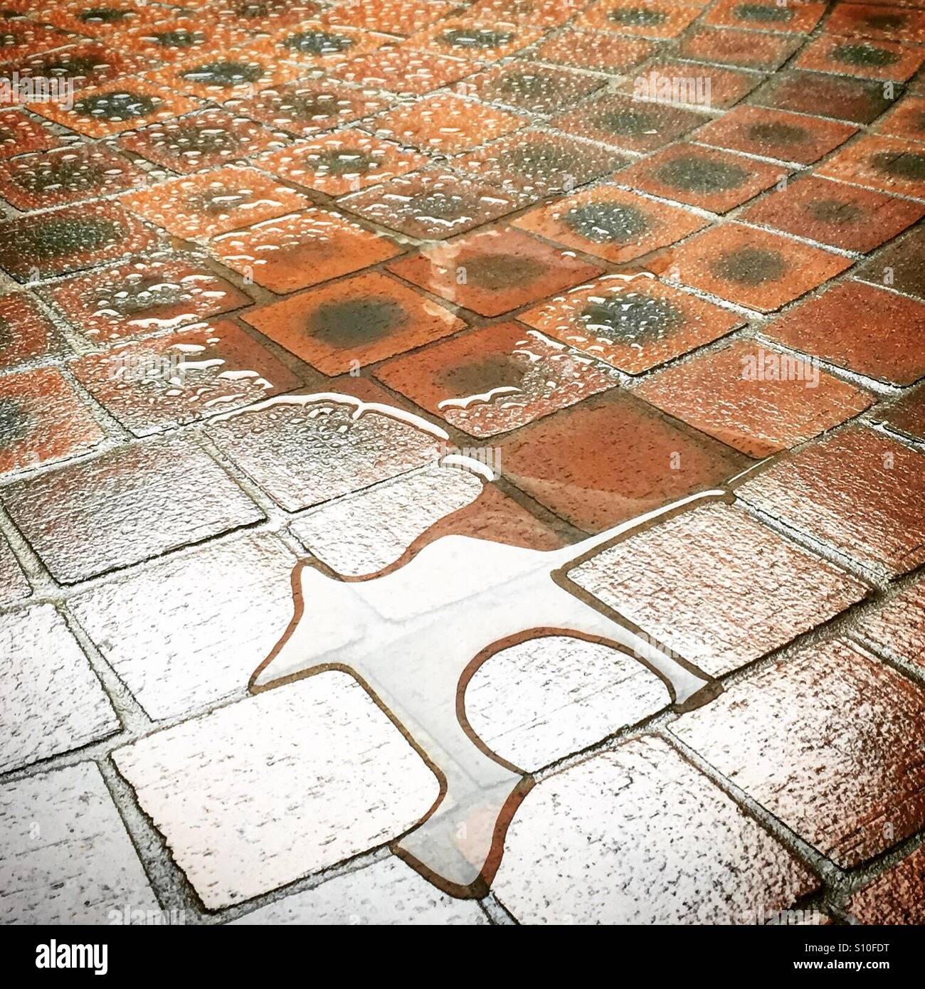 Water puddle on tiles after rain Stock Photo Alamy