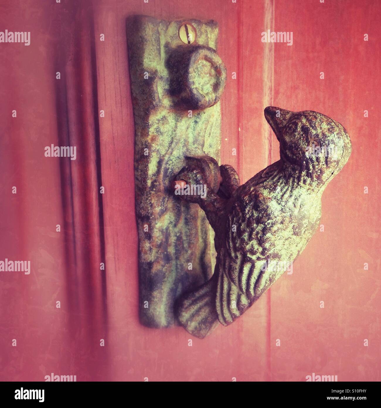 Woodpecker door knocker - Smartphone Captured Stock Image