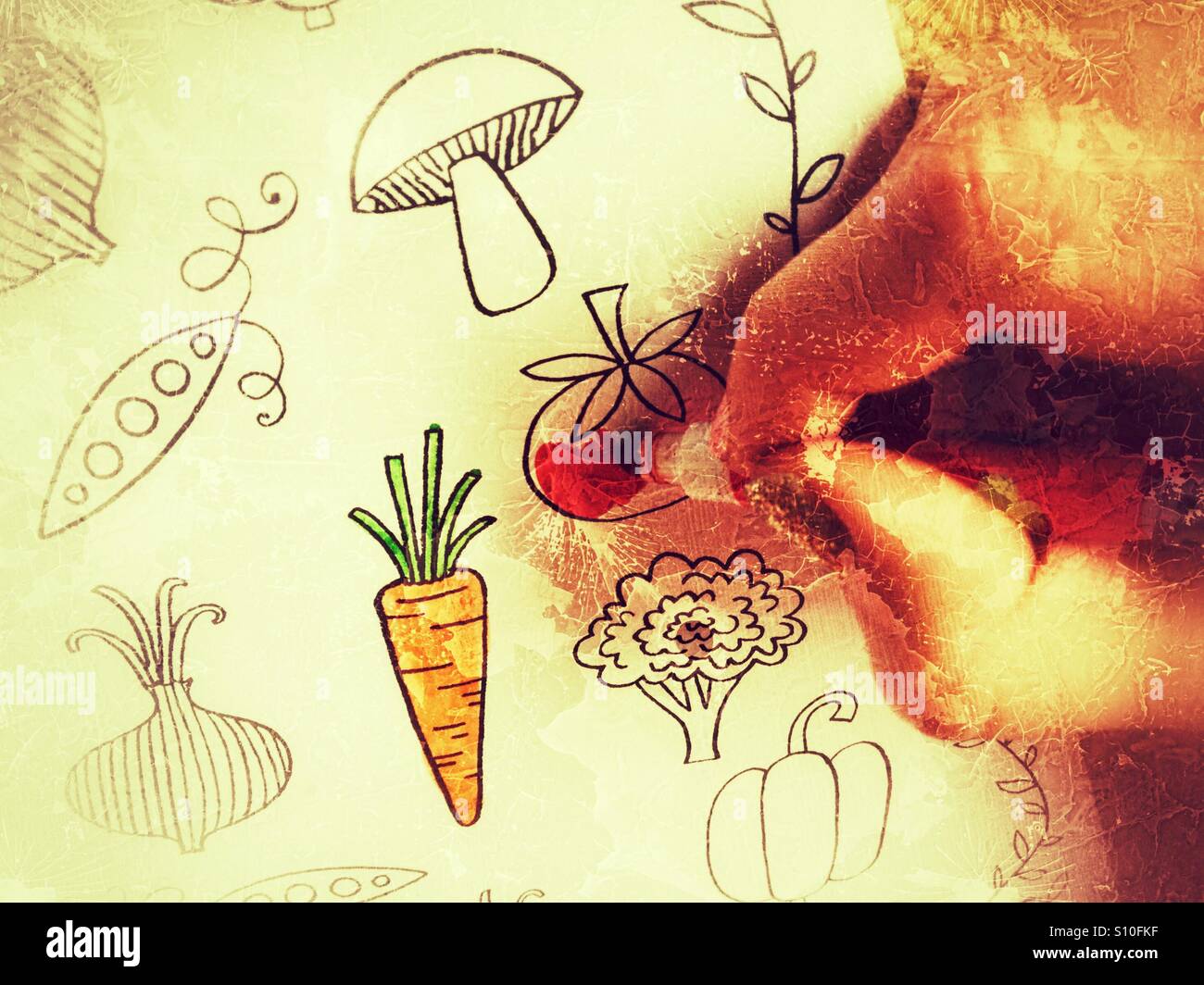 Child's hand colouring drawing of vegetables Stock Photo