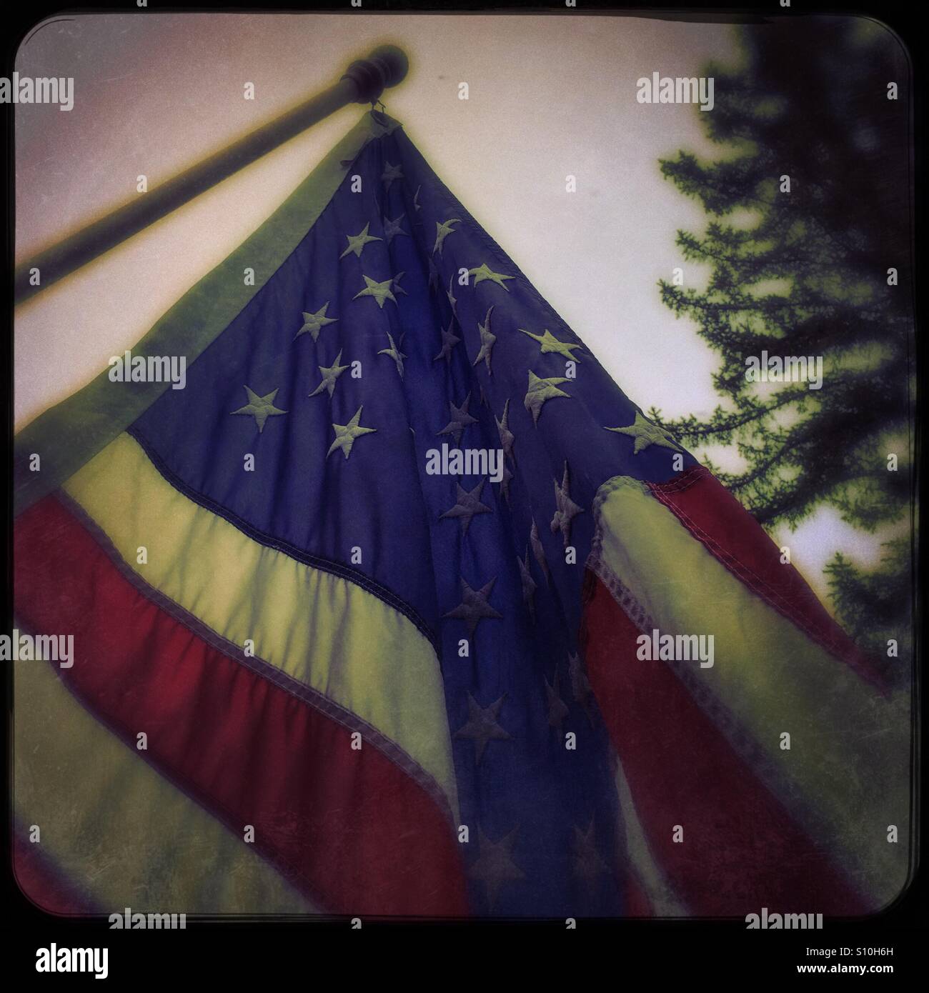American flag with pine tree in background Stock Photo Alamy