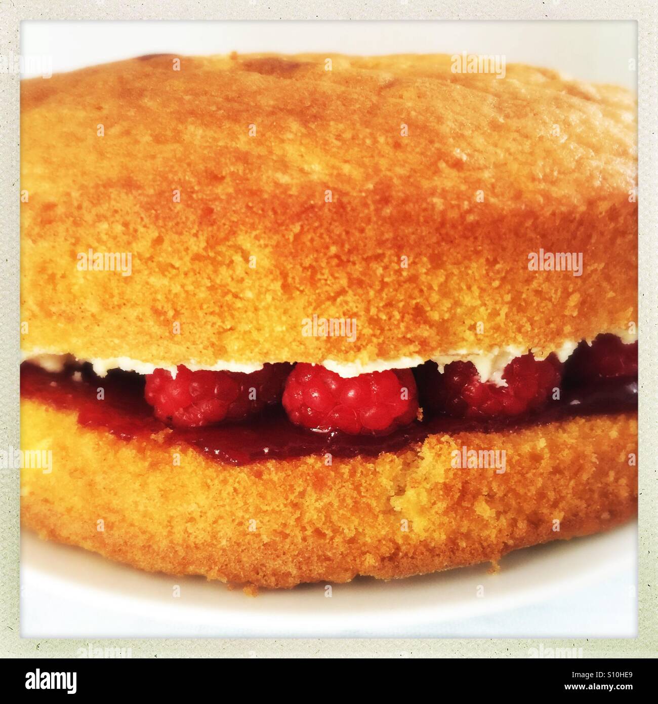 Raspberry sponge cake Stock Photo