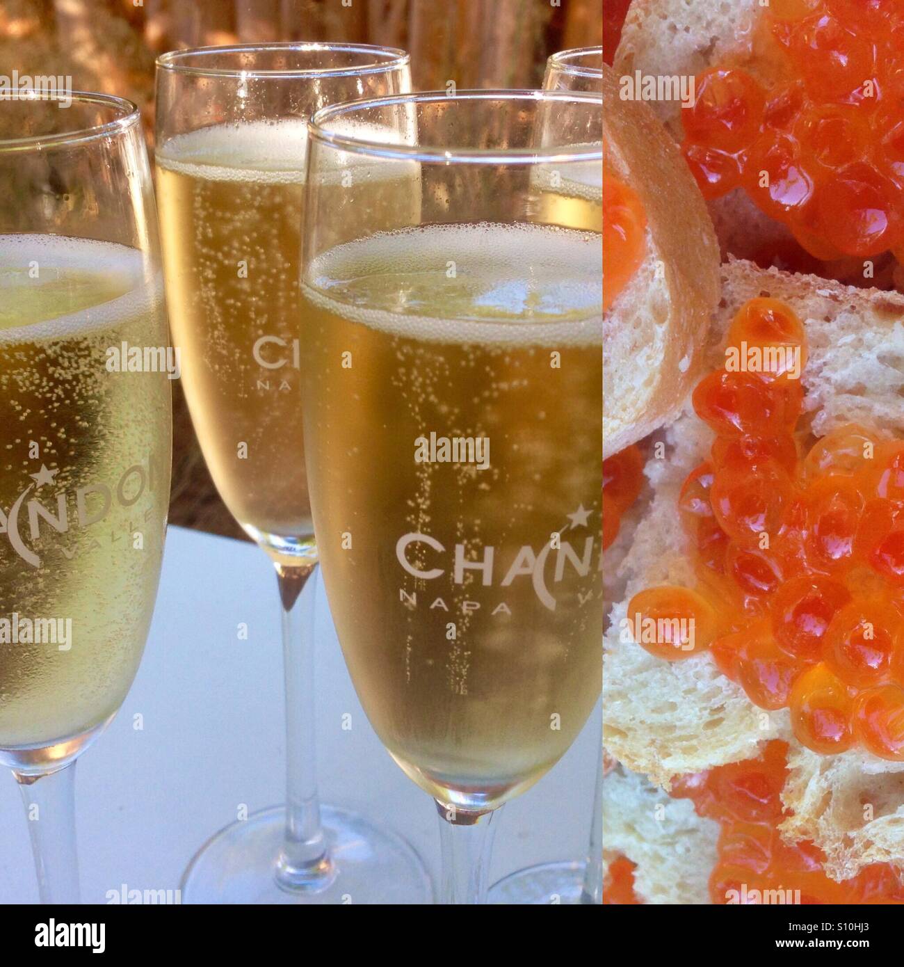 Champagne and Toasts - Smartphone Captured Stock Image