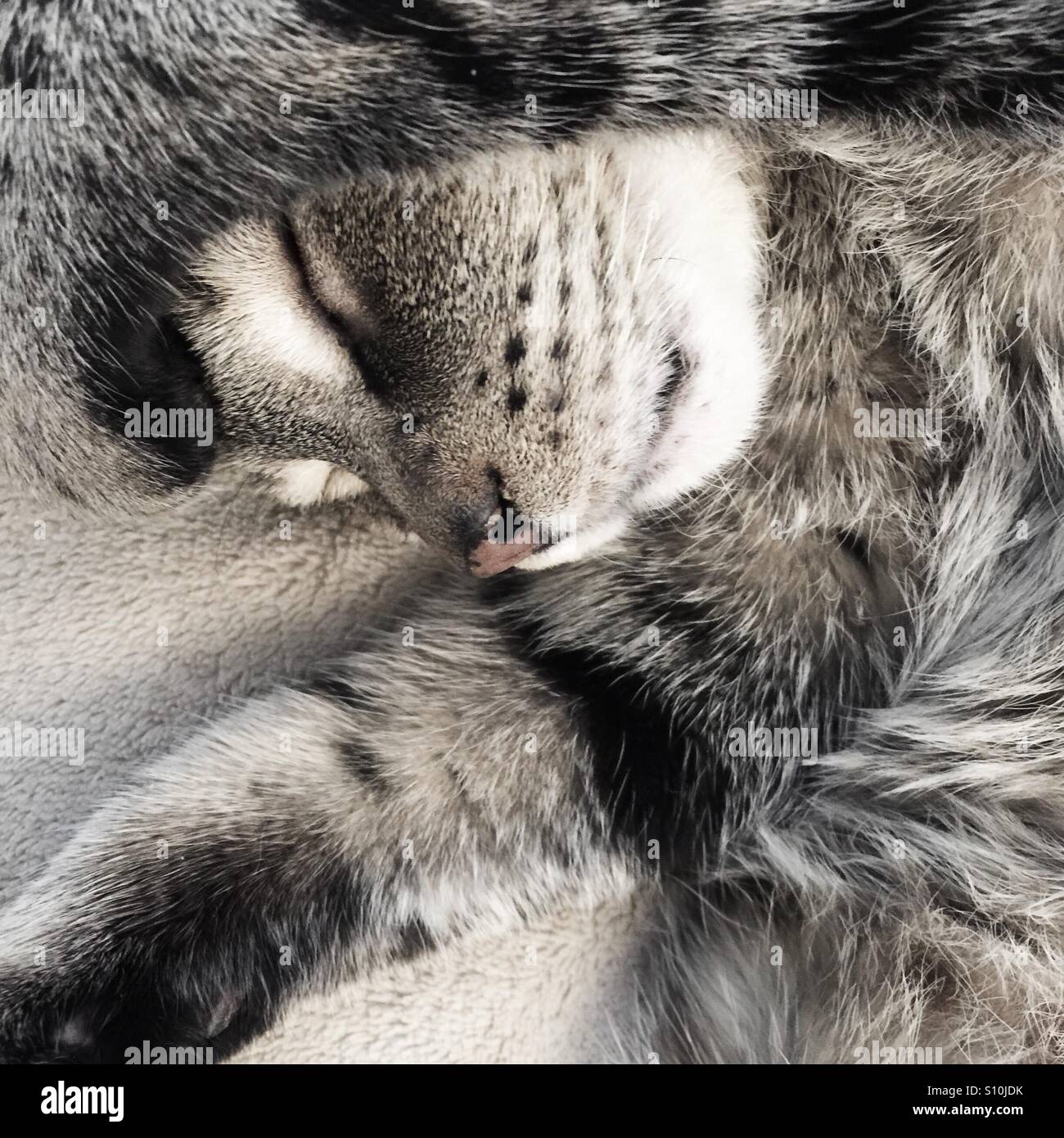 My Image 18