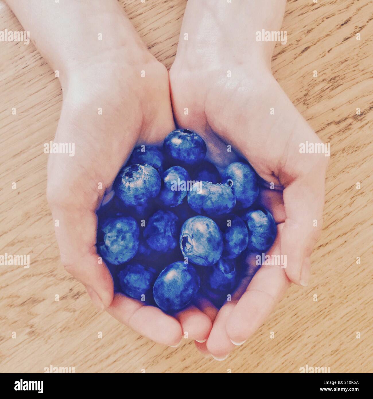 Fresh blueberries in a hand and ready to eat - Smartphone Captured Stock Image