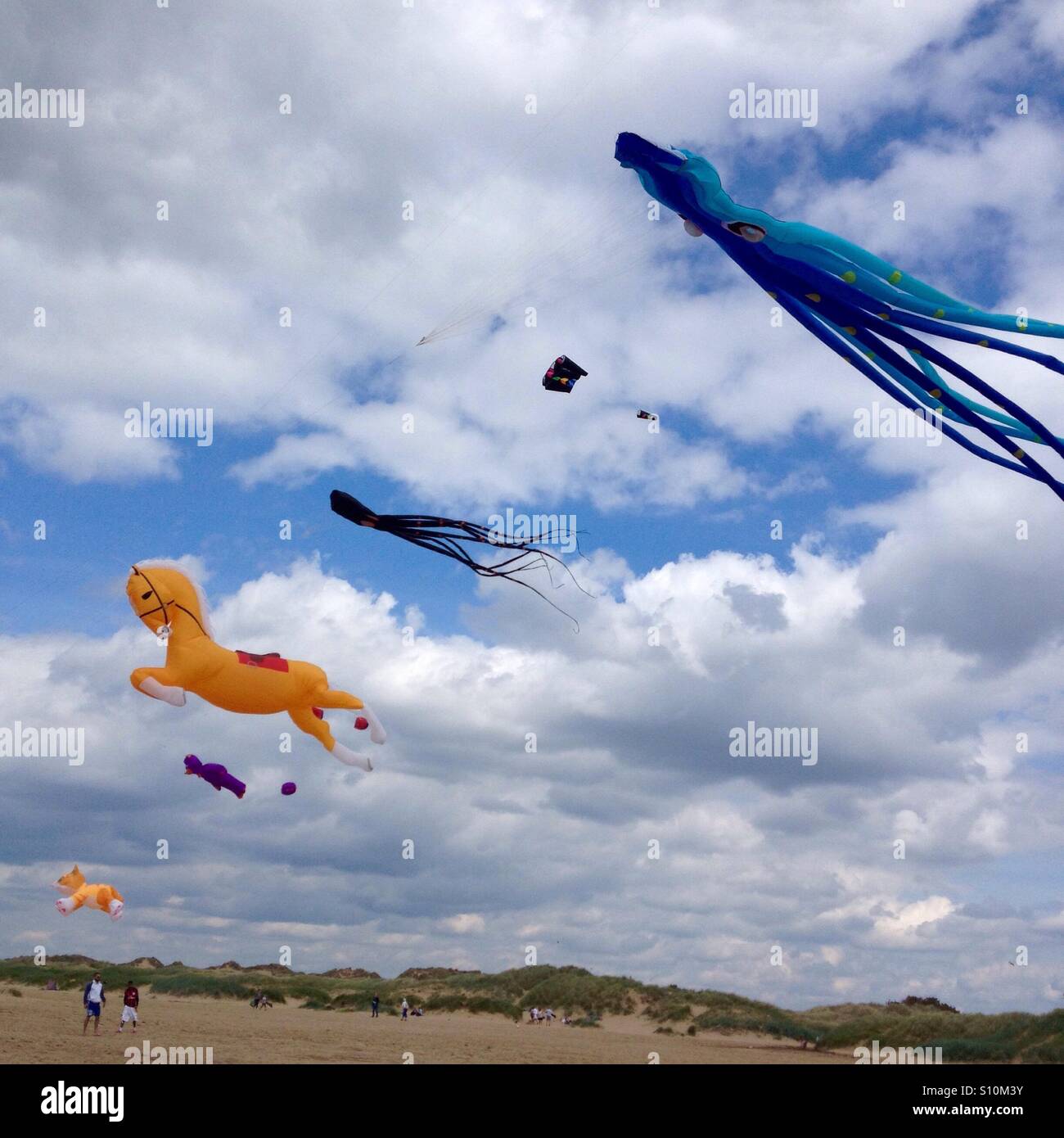Windy day at the beach,lots of kites Stock Photo Alamy