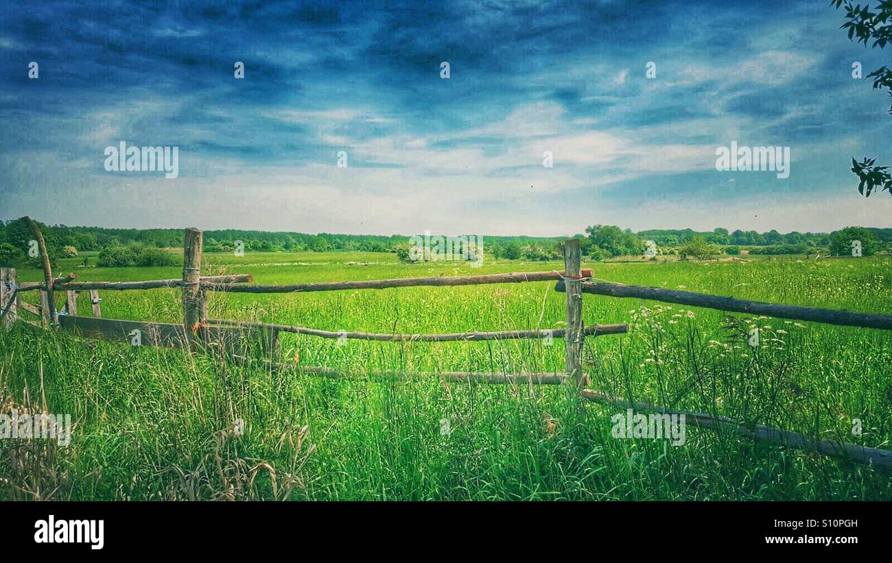 Fence - Smartphone Captured Stock Image