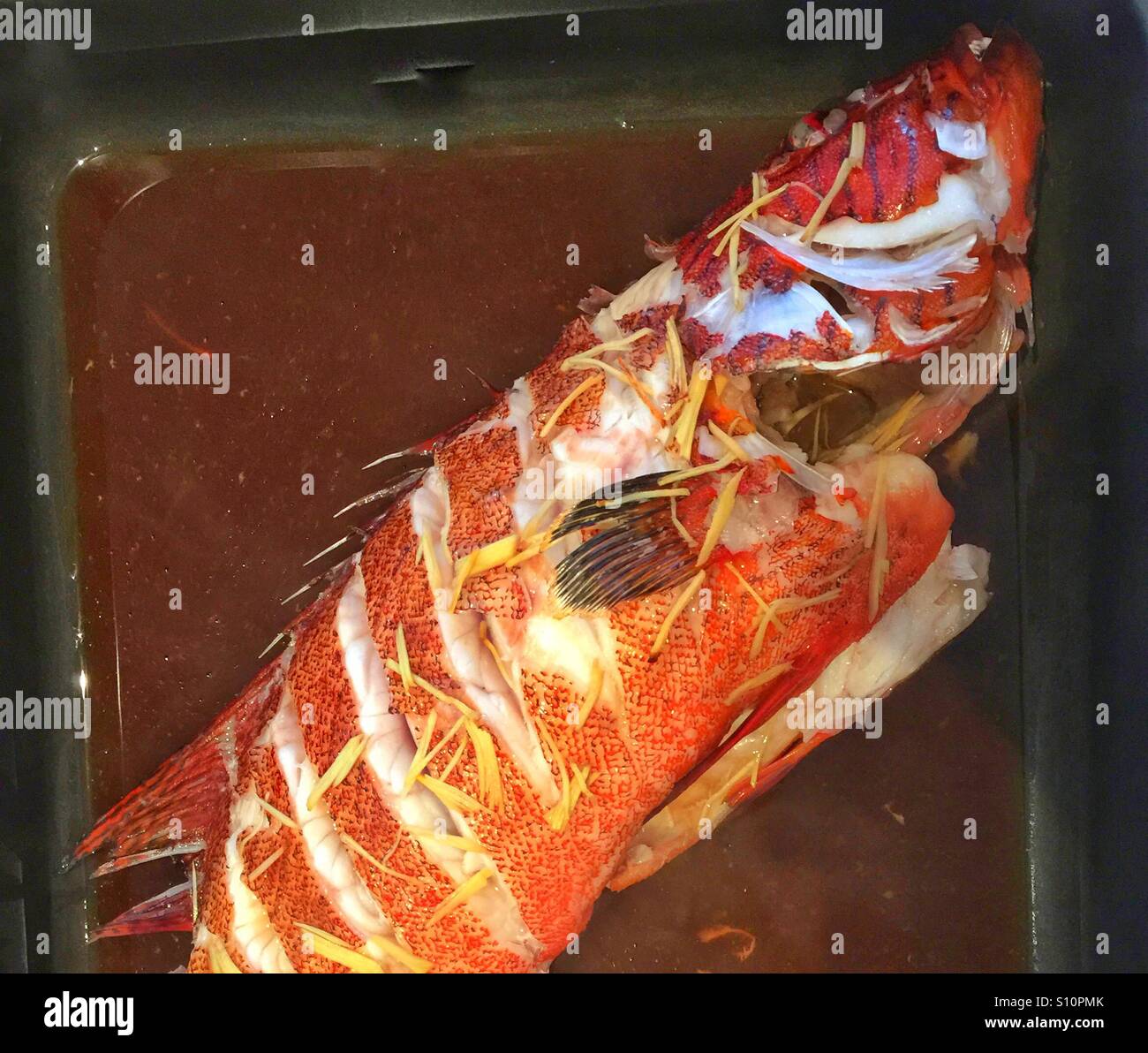 Fish platter - Smartphone Captured Stock Image