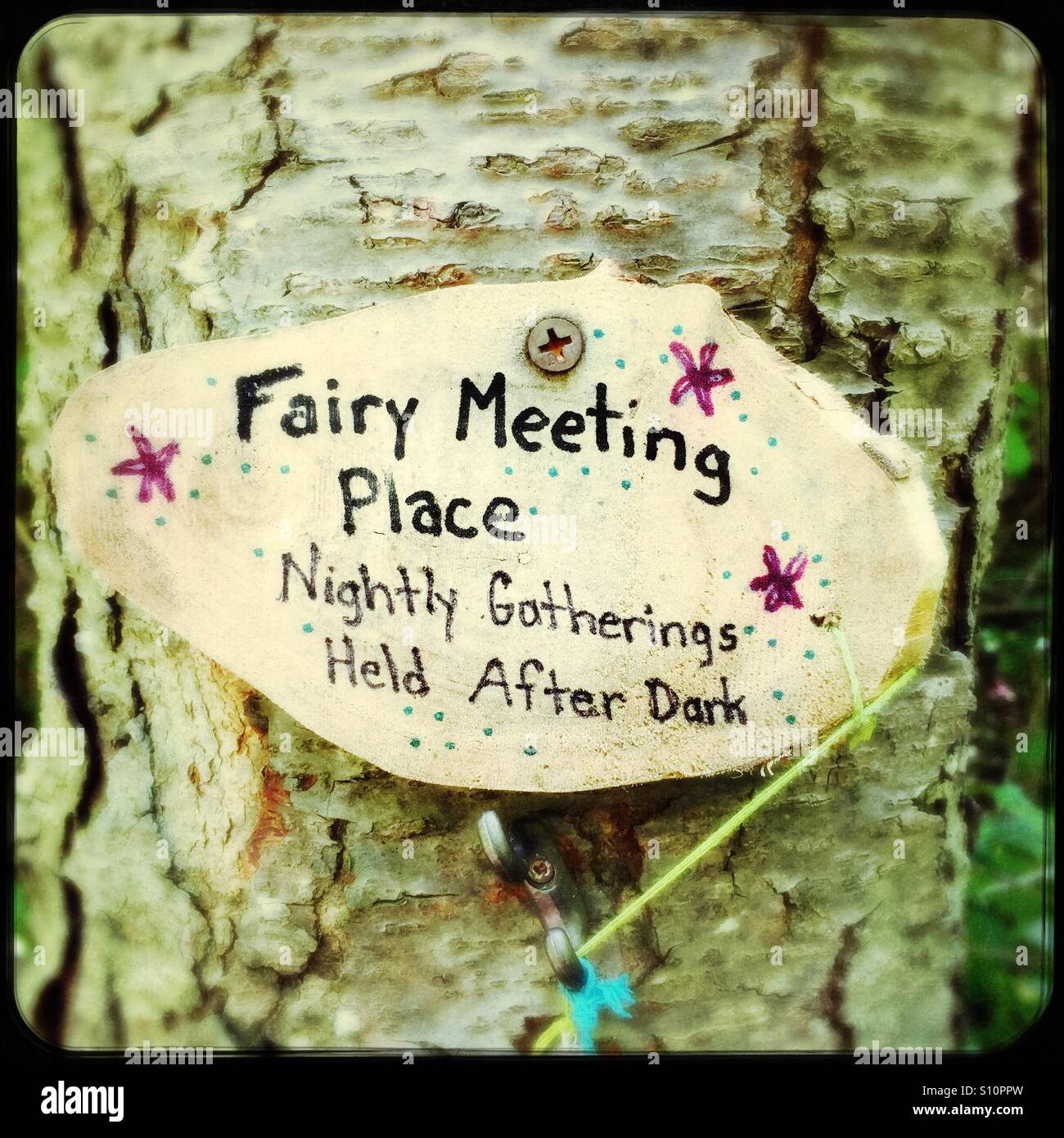 Fairy meeting place - Smartphone Captured Stock Image Fairy meeting place - Smartphone Captured Stock Image