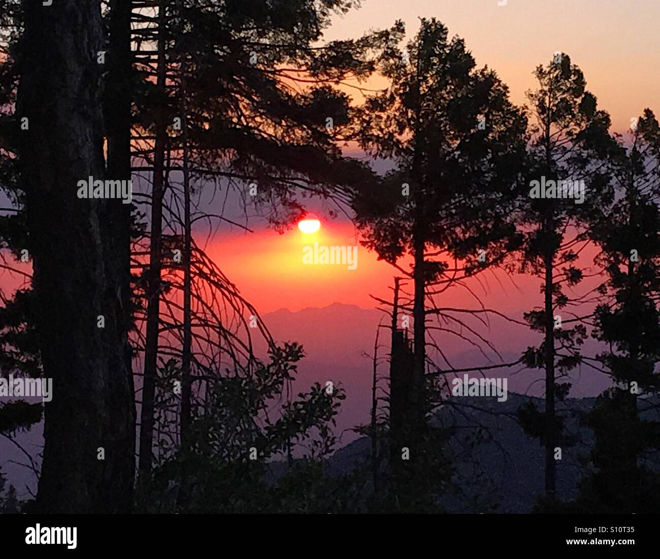 The sunset as seen from Mount Lemmon, Coronado National Forest, Sonoran Desert, Summerhaven, Arizona, USA. - Smartphone Captured Stock Image