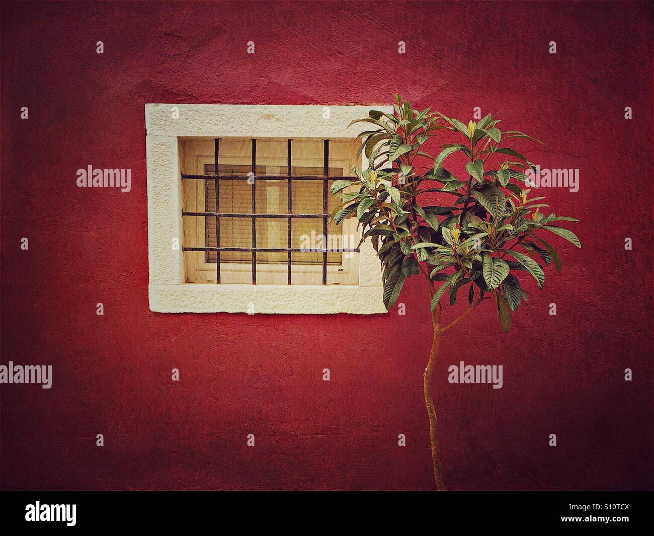 Window with bars - Smartphone Captured Stock Image