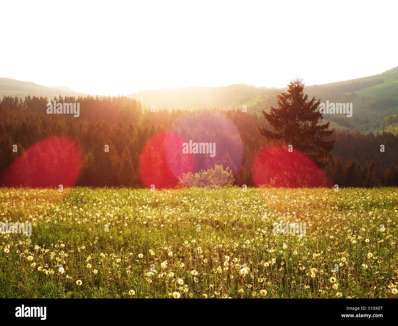 Flecks of sunlight in mountains - Smartphone Captured Stock Image