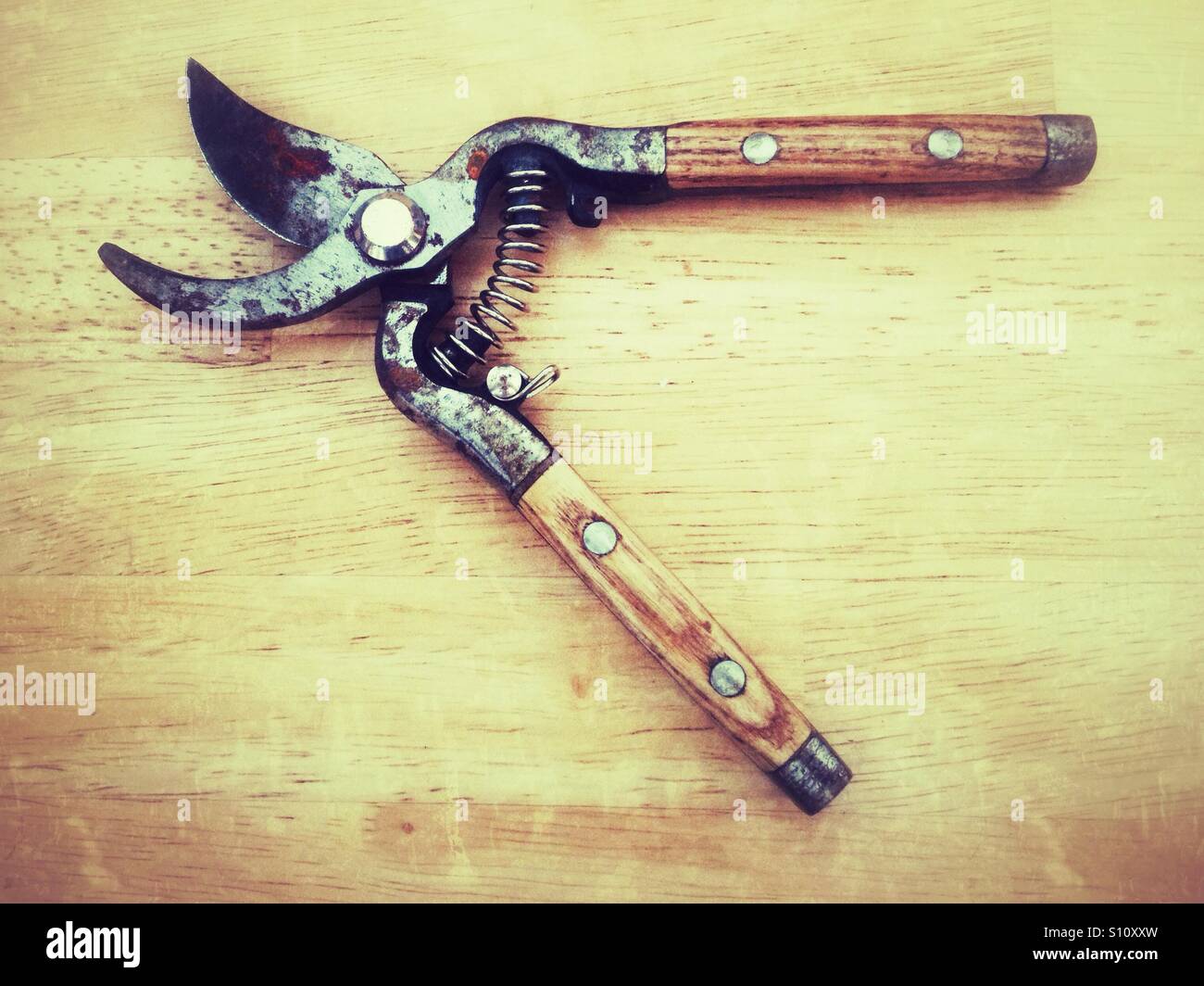 Gardening secateurs - Smartphone Captured Stock Image