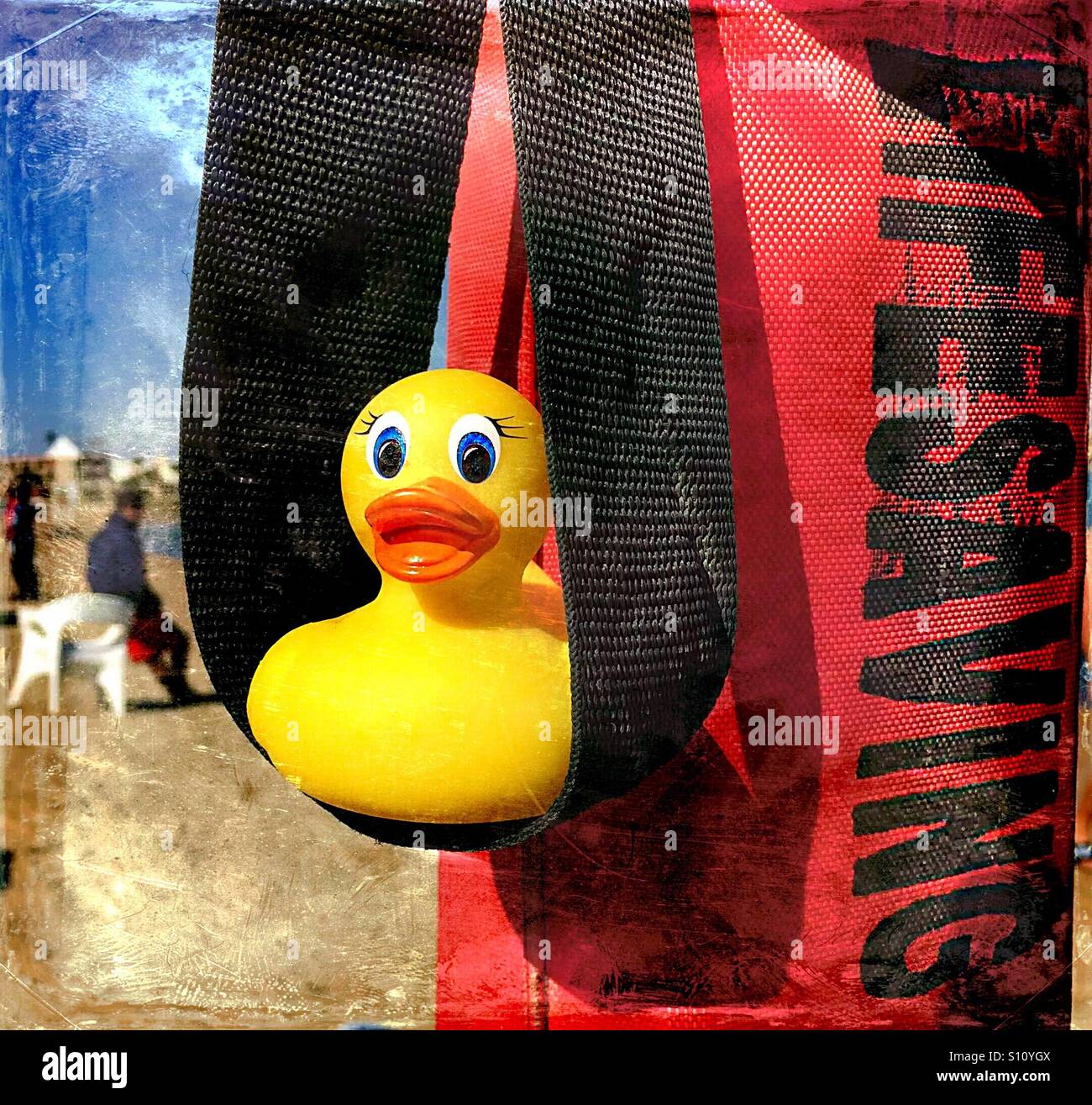 ...brave duck on the beach...lifesaver... - Smartphone Captured Stock Image