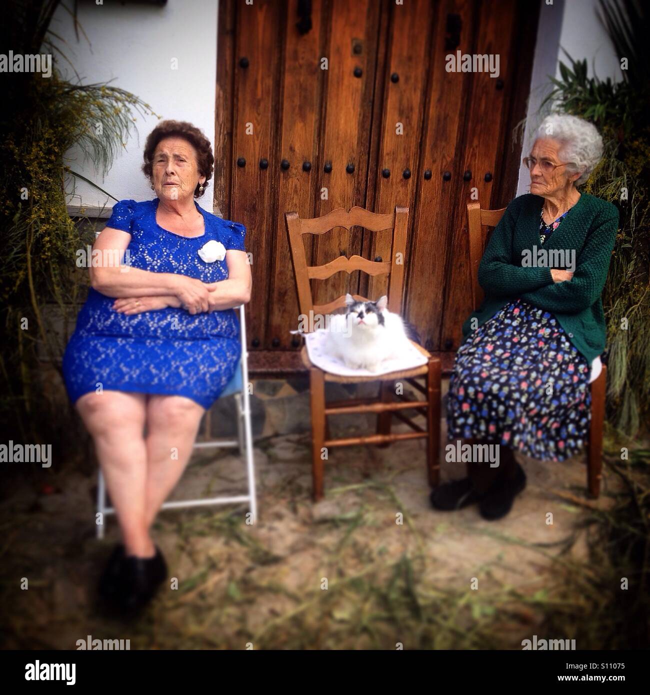 Women sit by a cat during Corpus Christi in El Gastor, Sierra de Cadiz, Andalusia, Spain - Smartphone Captured Stock Image