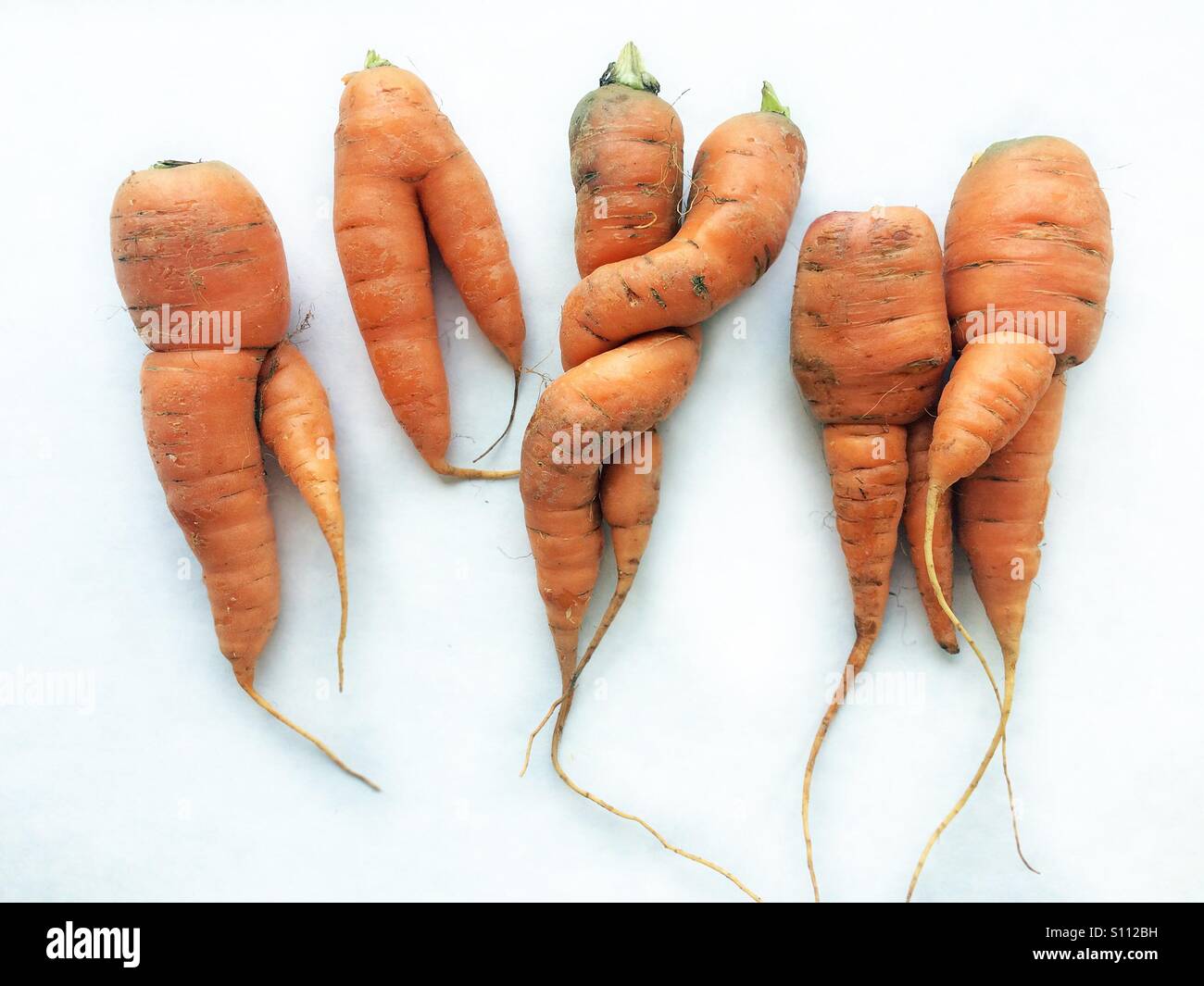Odd shaped carrots on white cardboard background Stock Photo